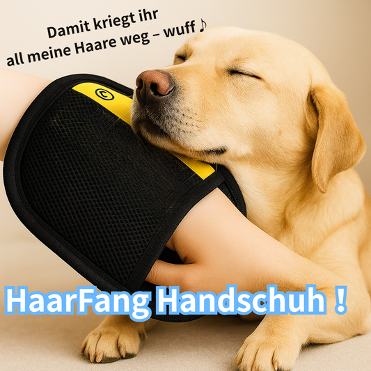 HaarFang Handschuh　